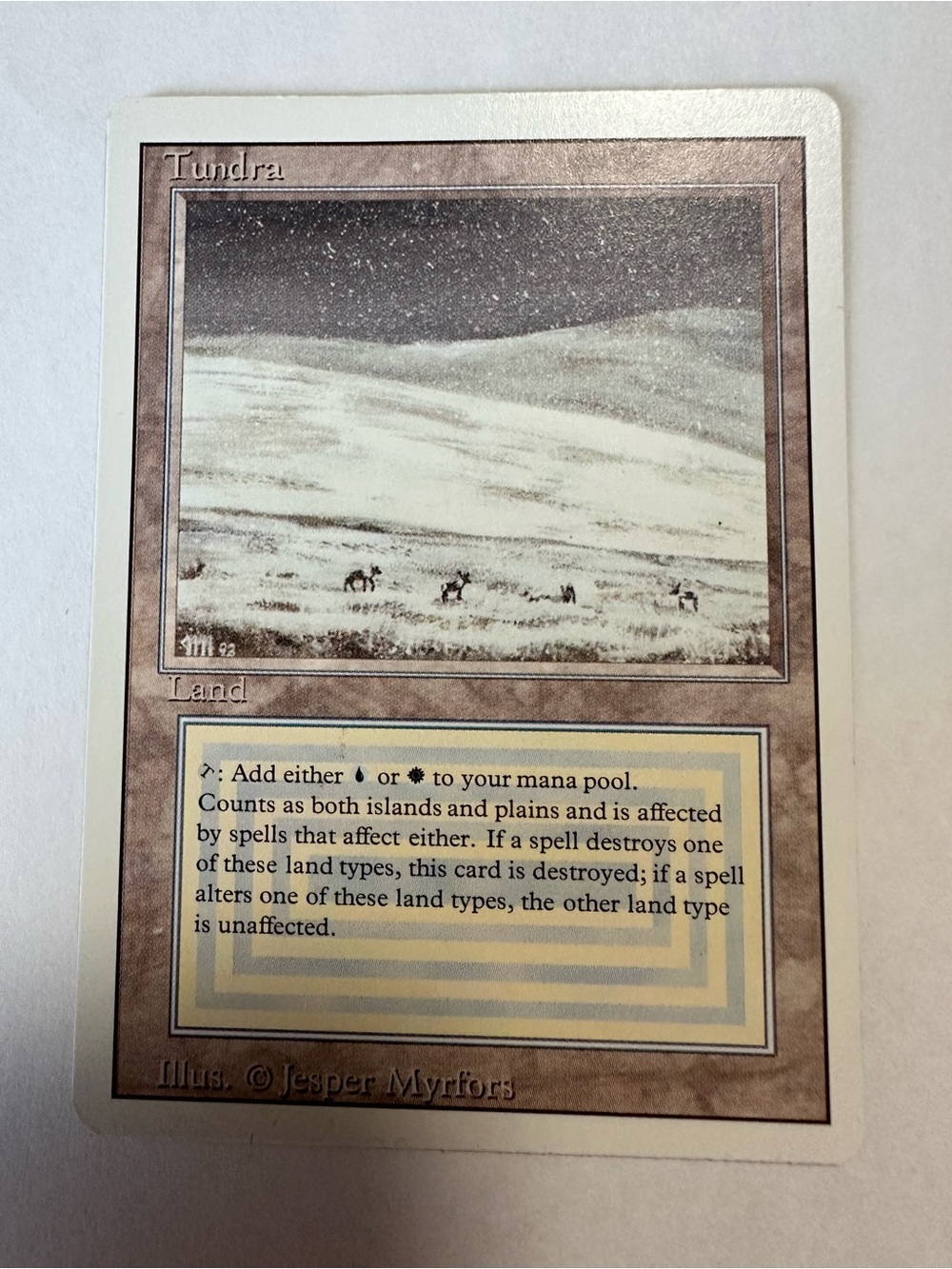 Magic The Gathering Tundra Land Card - Brown and Cream Illustration